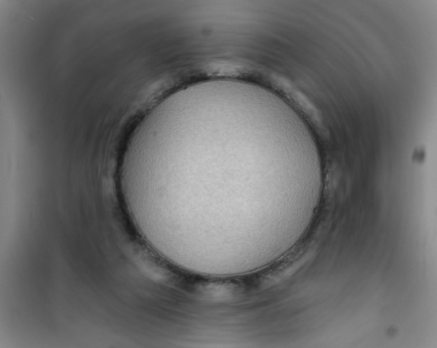 X0000100970209200807221218