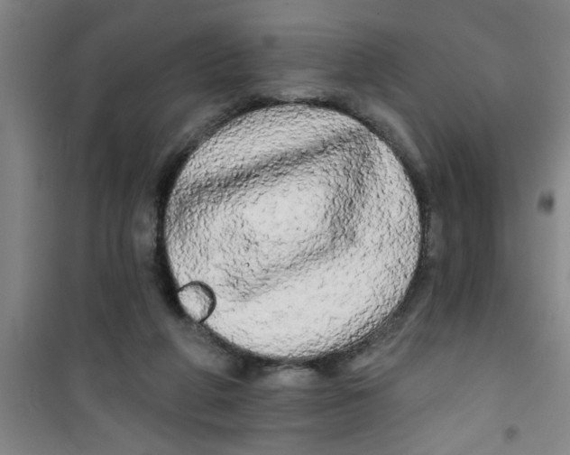 X0000100970210200807221218