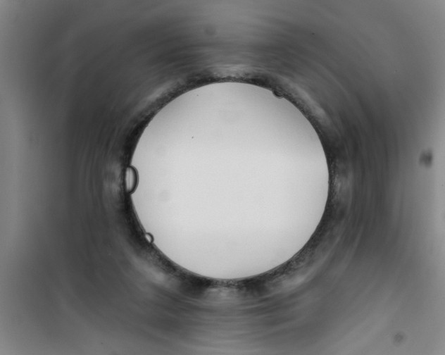 X0000100970211200807221218