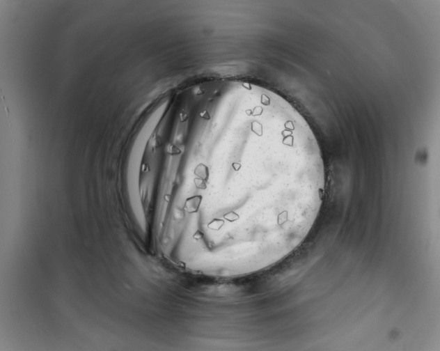 X0000100970212200807221218