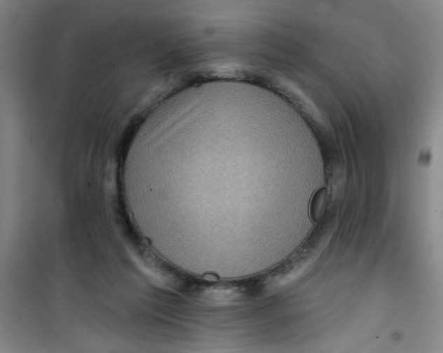X0000100970213200807221218
