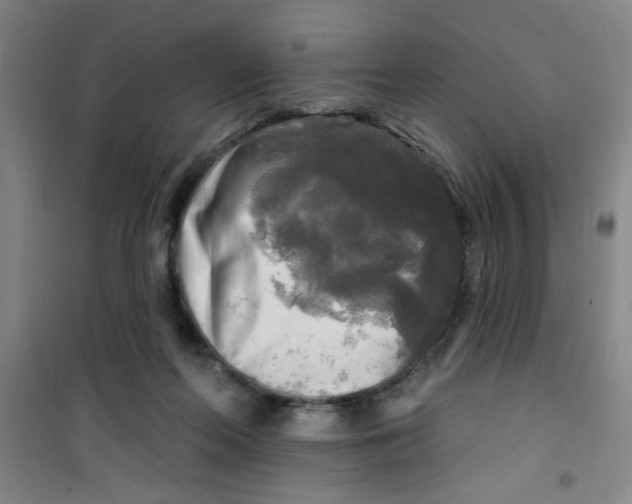 X0000100970214200807221218