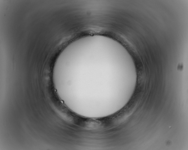 X0000100970215200807221218
