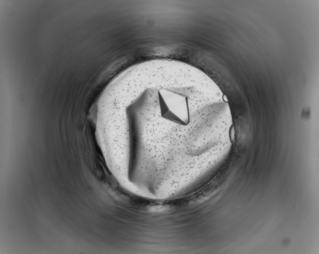 X0000100970216200807221218
