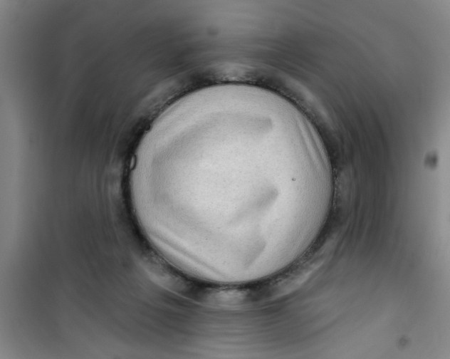 X0000100970217200807221218
