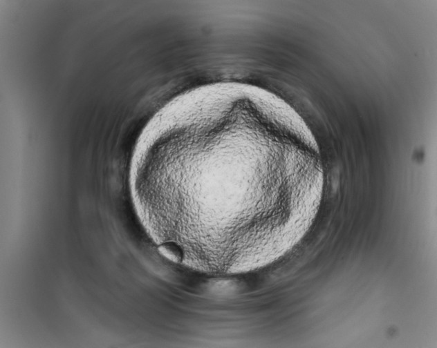 X0000100970218200807221218