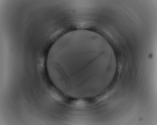 X0000100970219200807221218