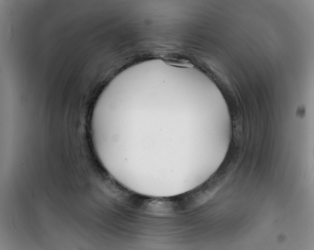 X0000100970221200807221218