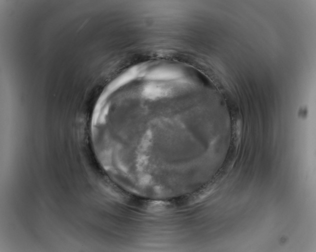 X0000100970222200807221218