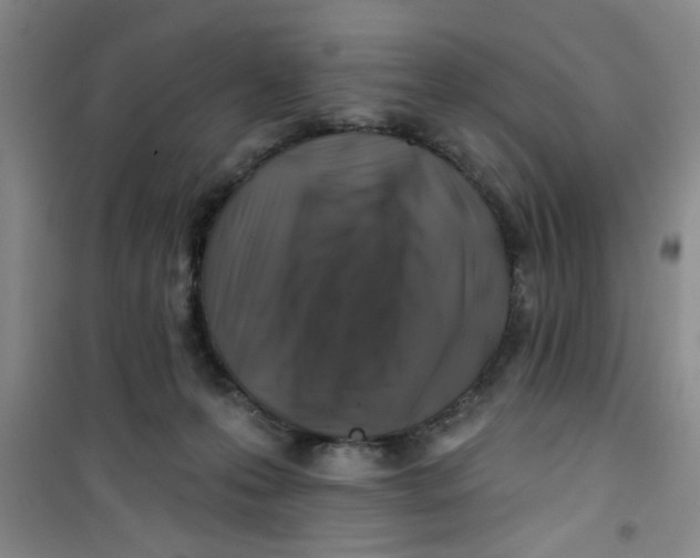 X0000100970223200807221218