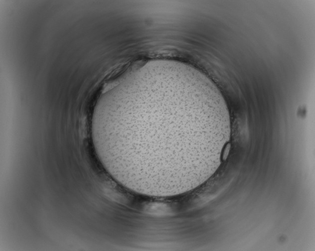 X0000100970224200807221218