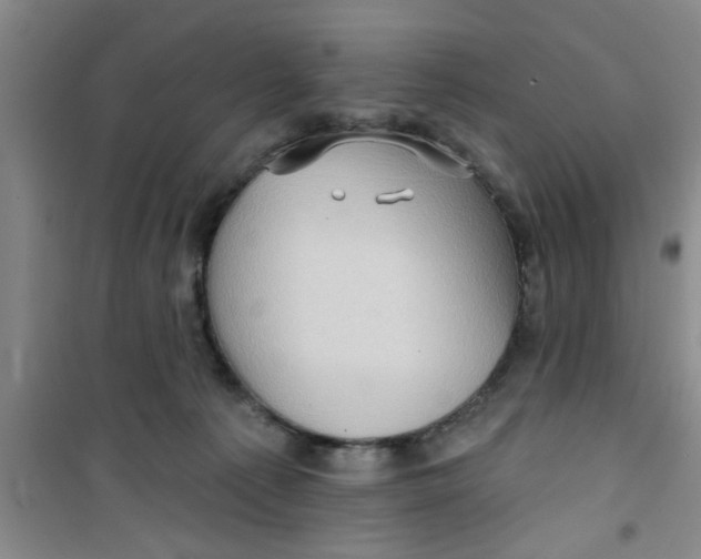 X0000100970225200807221218
