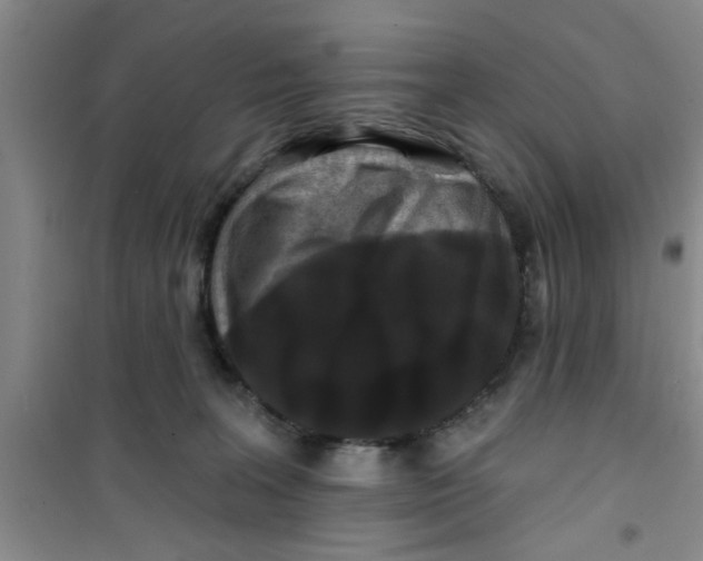 X0000100970227200807221217