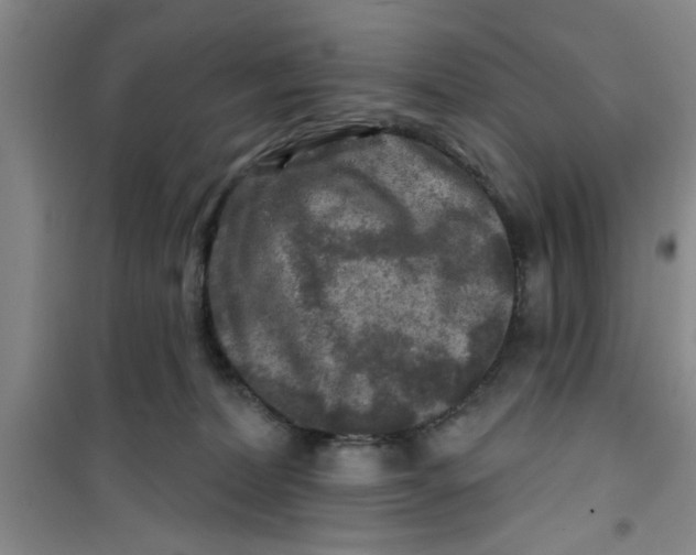 X0000100970228200807221217