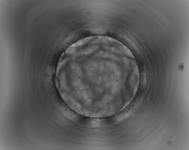 X0000100970229200807221217