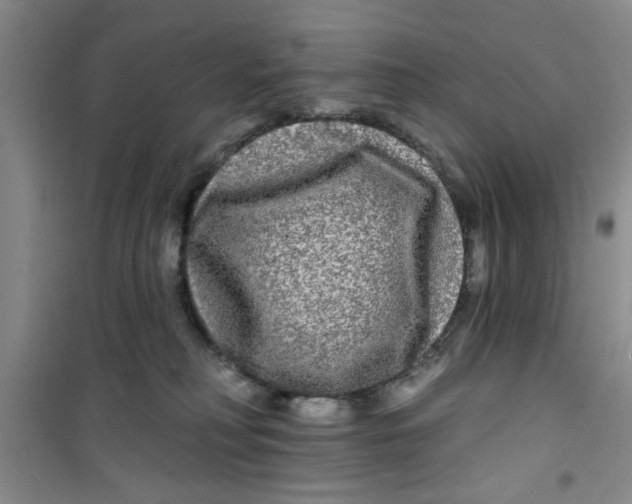 X0000100970230200807221217