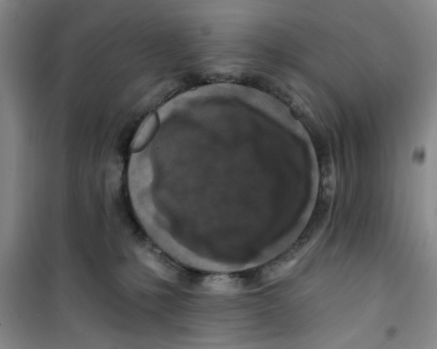 X0000100970231200807221217
