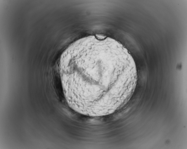 X0000100970232200807221217