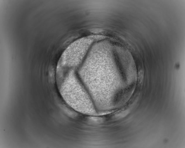 X0000100970234200807221217