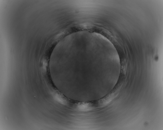 X0000100970235200807221217