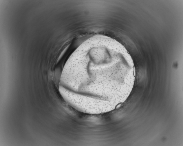 X0000100970236200807221217