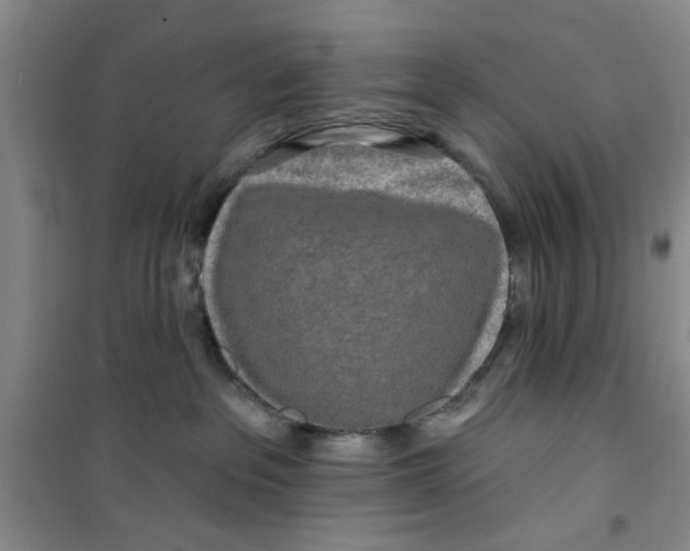 X0000100970237200807221217