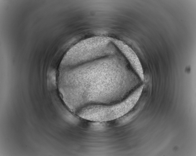 X0000100970238200807221217