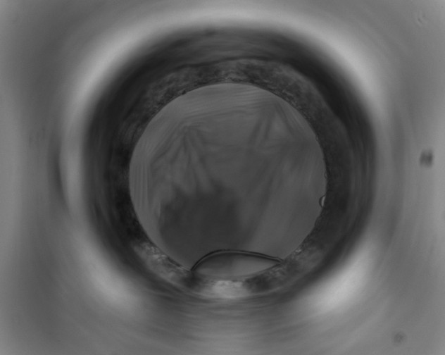 X0000100970239200807221217
