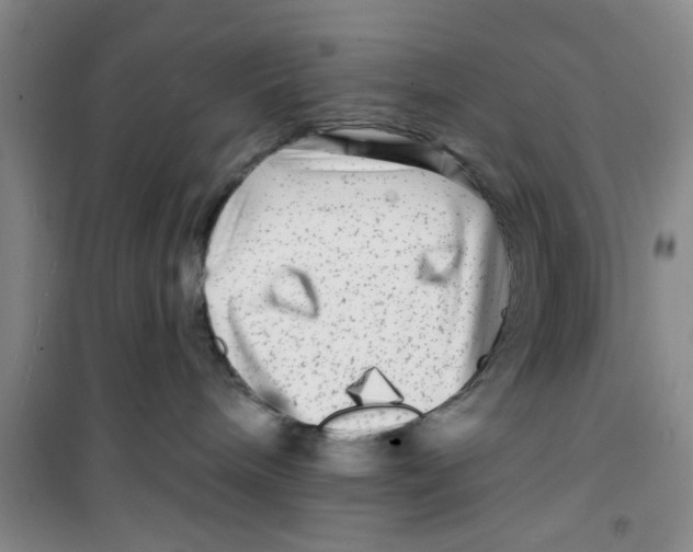 X0000100970240200807221217