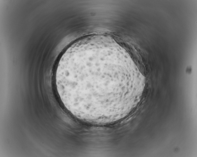 X0000100970242200807221216