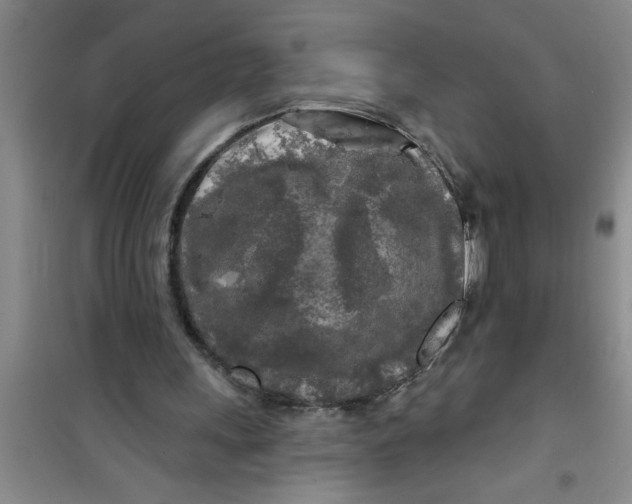 X0000100970243200807221217