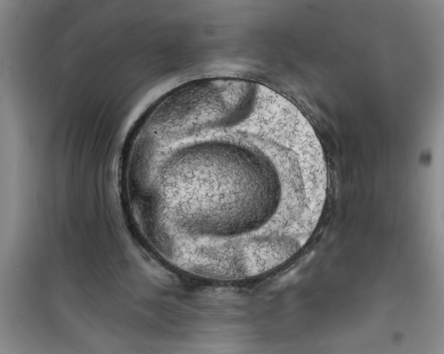 X0000100970244200807221217