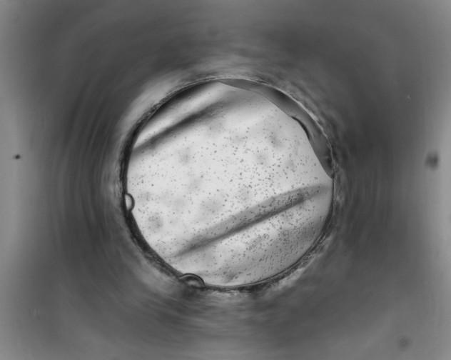 X0000100970245200807221217