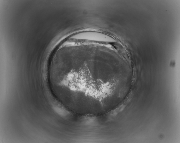 X0000100970247200807221217