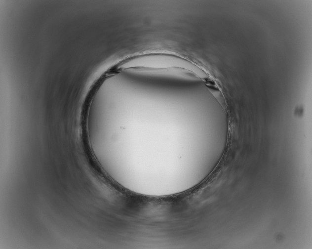 X0000100970248200807221217