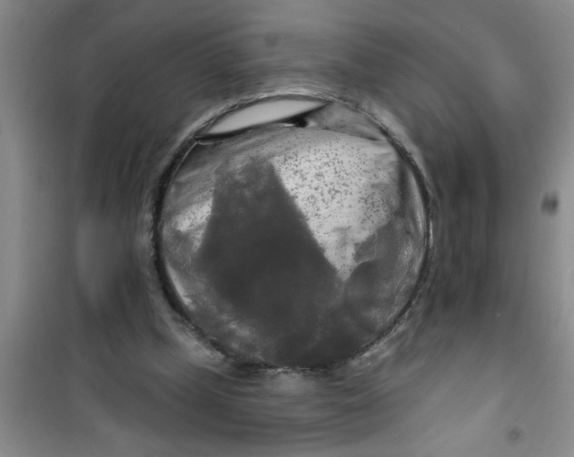 X0000100970249200807221217