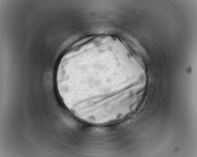 X0000100970250200807221217
