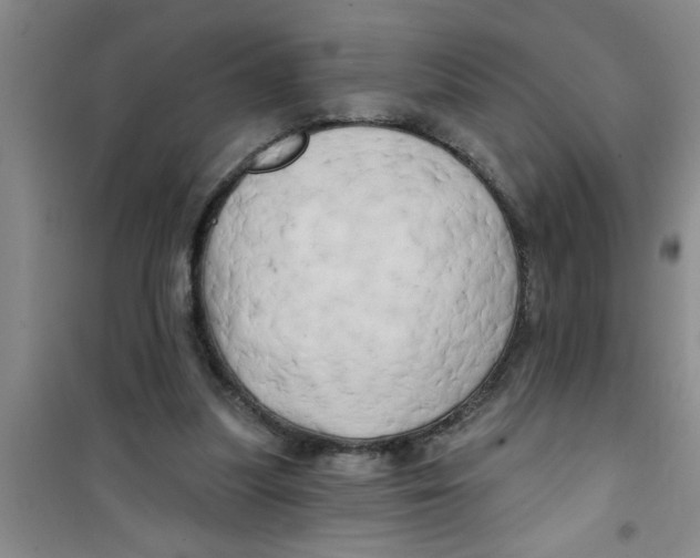 X0000100970251200807221217