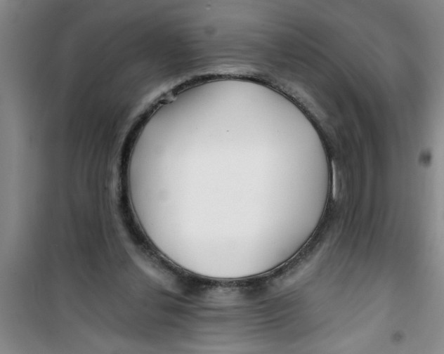 X0000100970252200807221217