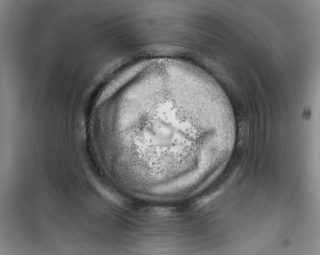 X0000100970254200807221217