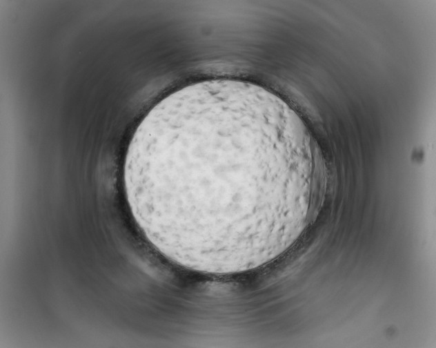 X0000100970255200807221217