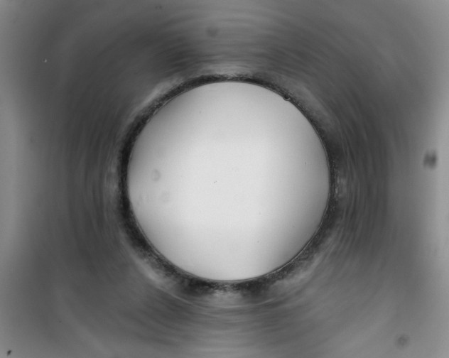 X0000100970256200807221217