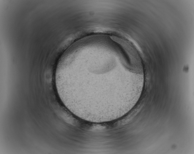 X0000100970257200807221217