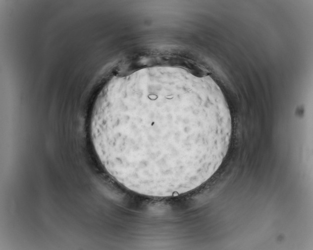 X0000100970258200807221217