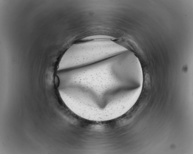 X0000100970259200807221217