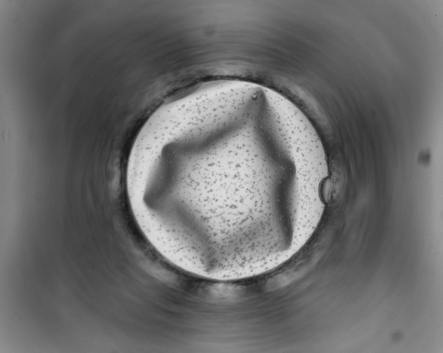 X0000100970261200807221217