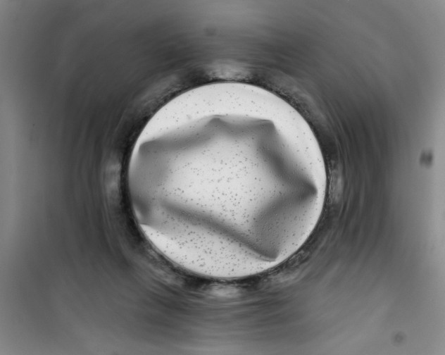 X0000100970263200807221217