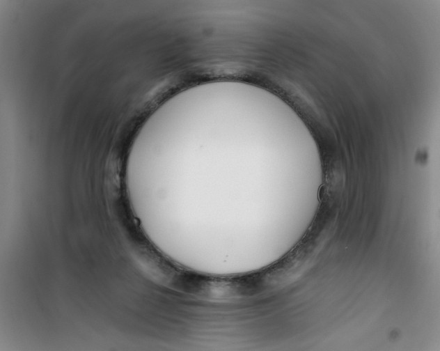 X0000100970264200807221217