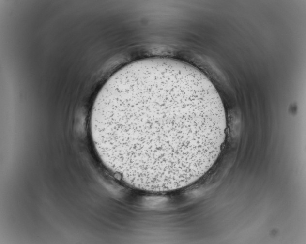 X0000100970266200807221217