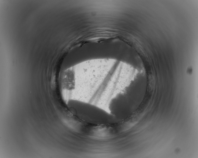X0000100970267200807221217